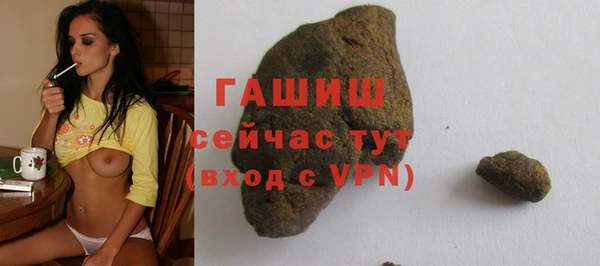 индика Шадринск