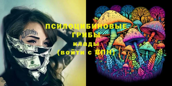 дмт Шали