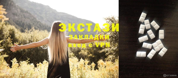 индика Шадринск